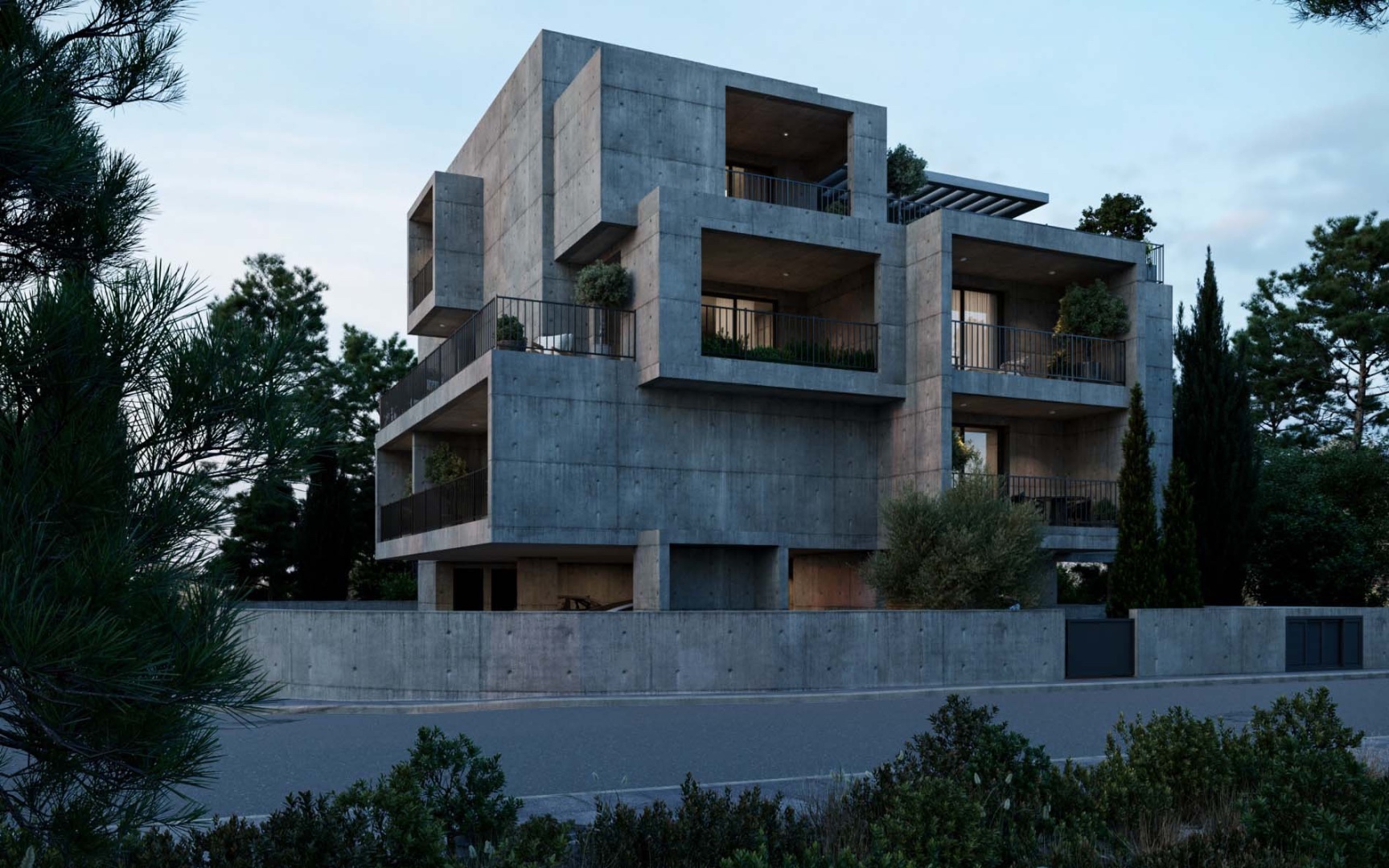 Project image